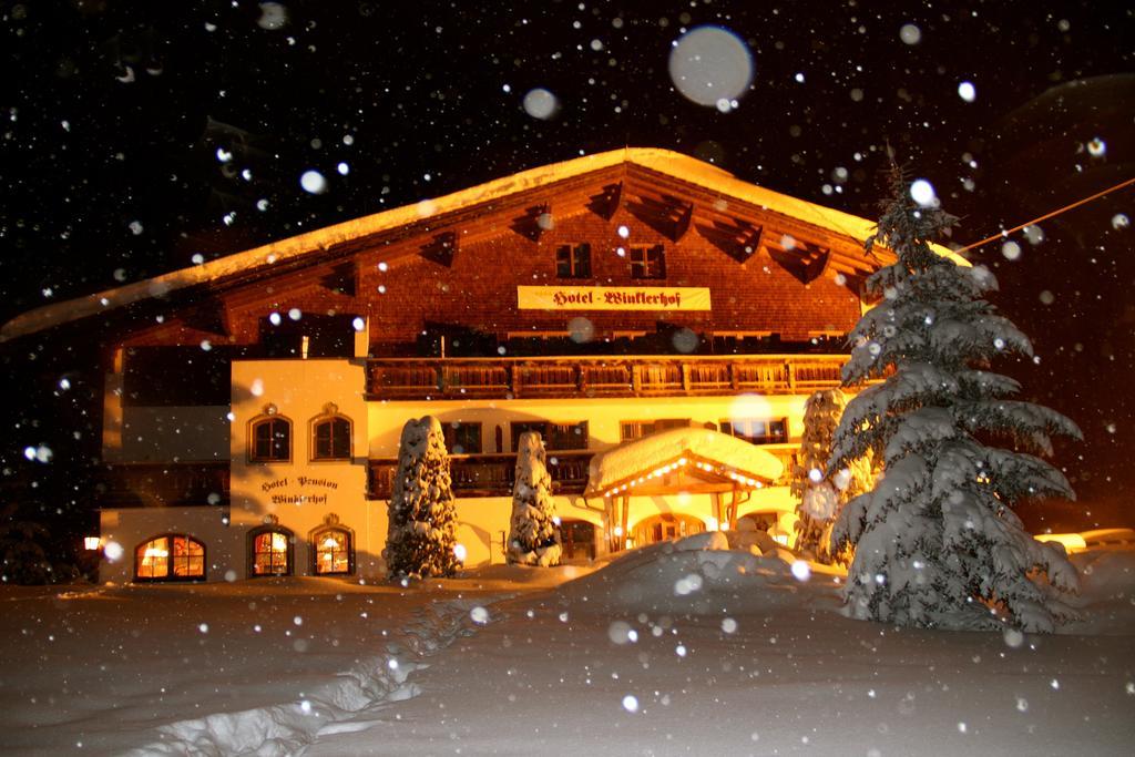 Hotel Winklerhof Хольцгау Экстерьер фото